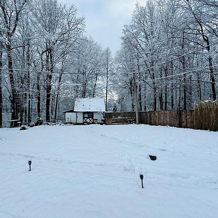 Vila Romantyczna Chatka Pisarzowice  Exteriér fotografie