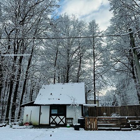 Vila Romantyczna Chatka Pisarzowice  Exteriér fotografie