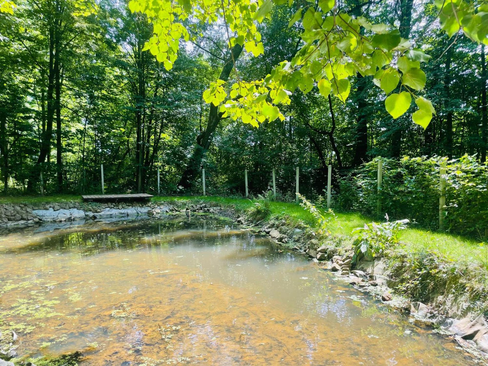 Vila Romantyczna Chatka Pisarzowice  Exteriér fotografie