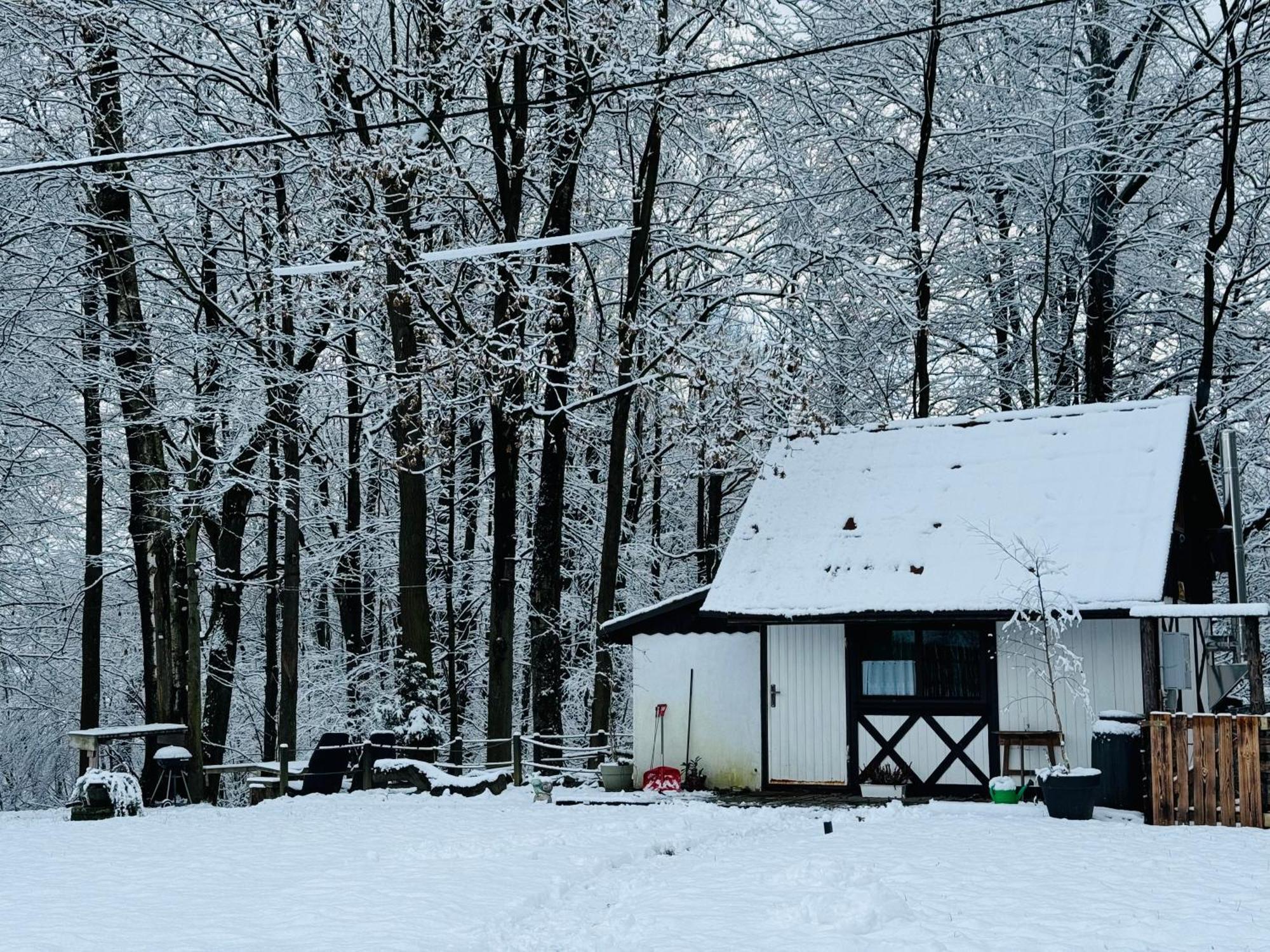 Vila Romantyczna Chatka Pisarzowice  Exteriér fotografie