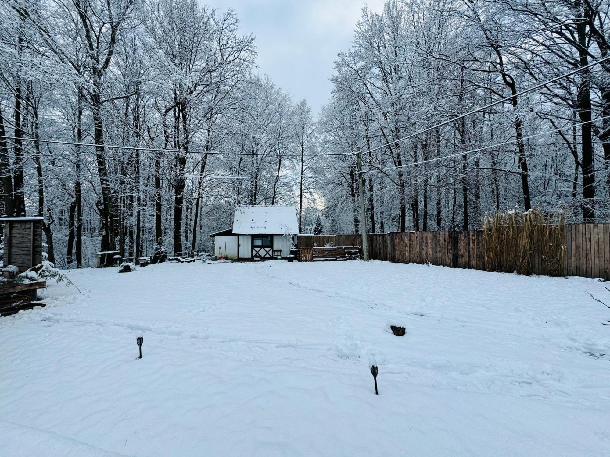 Vila Romantyczna Chatka Pisarzowice  Exteriér fotografie