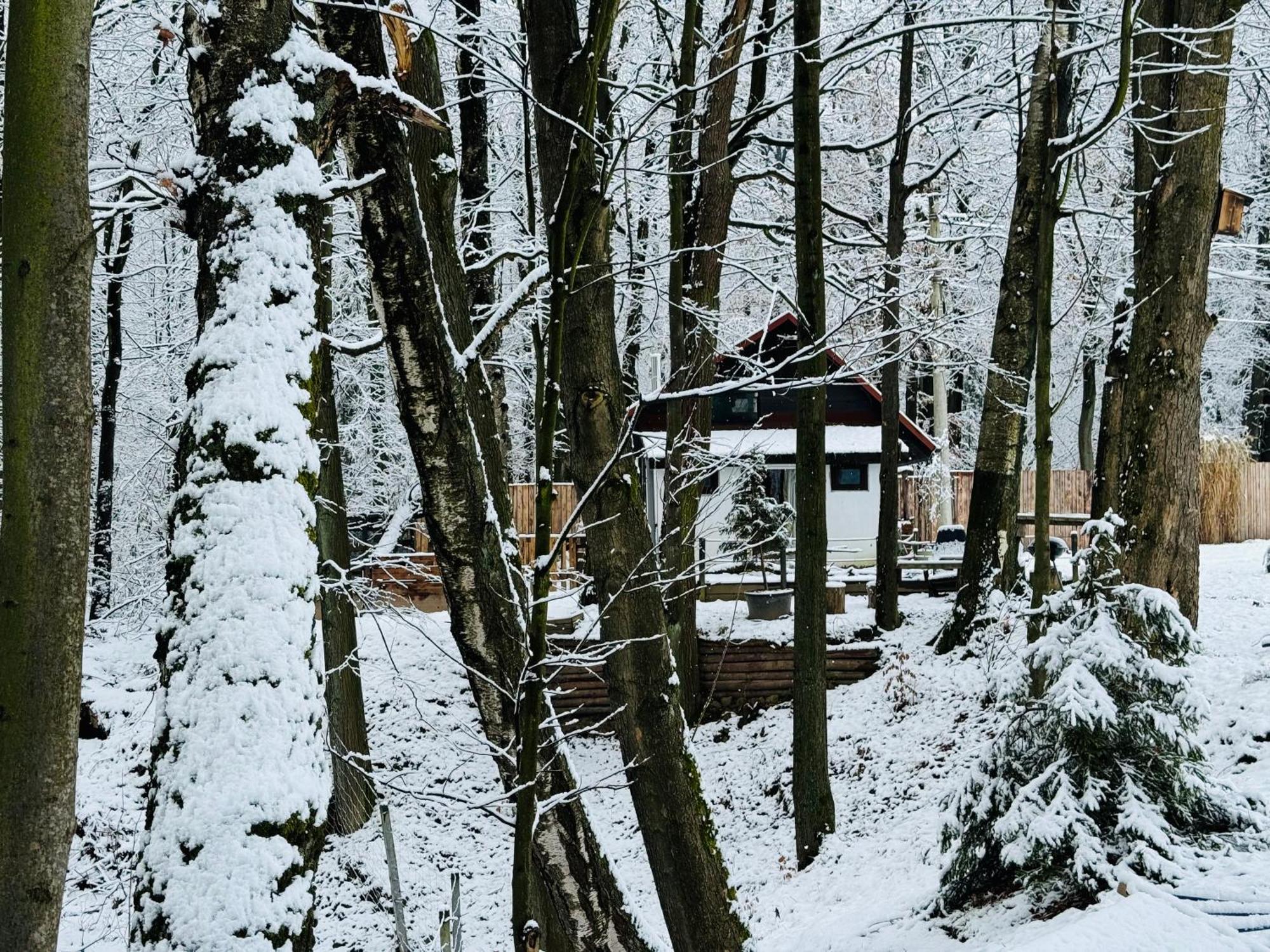 Vila Romantyczna Chatka Pisarzowice  Exteriér fotografie