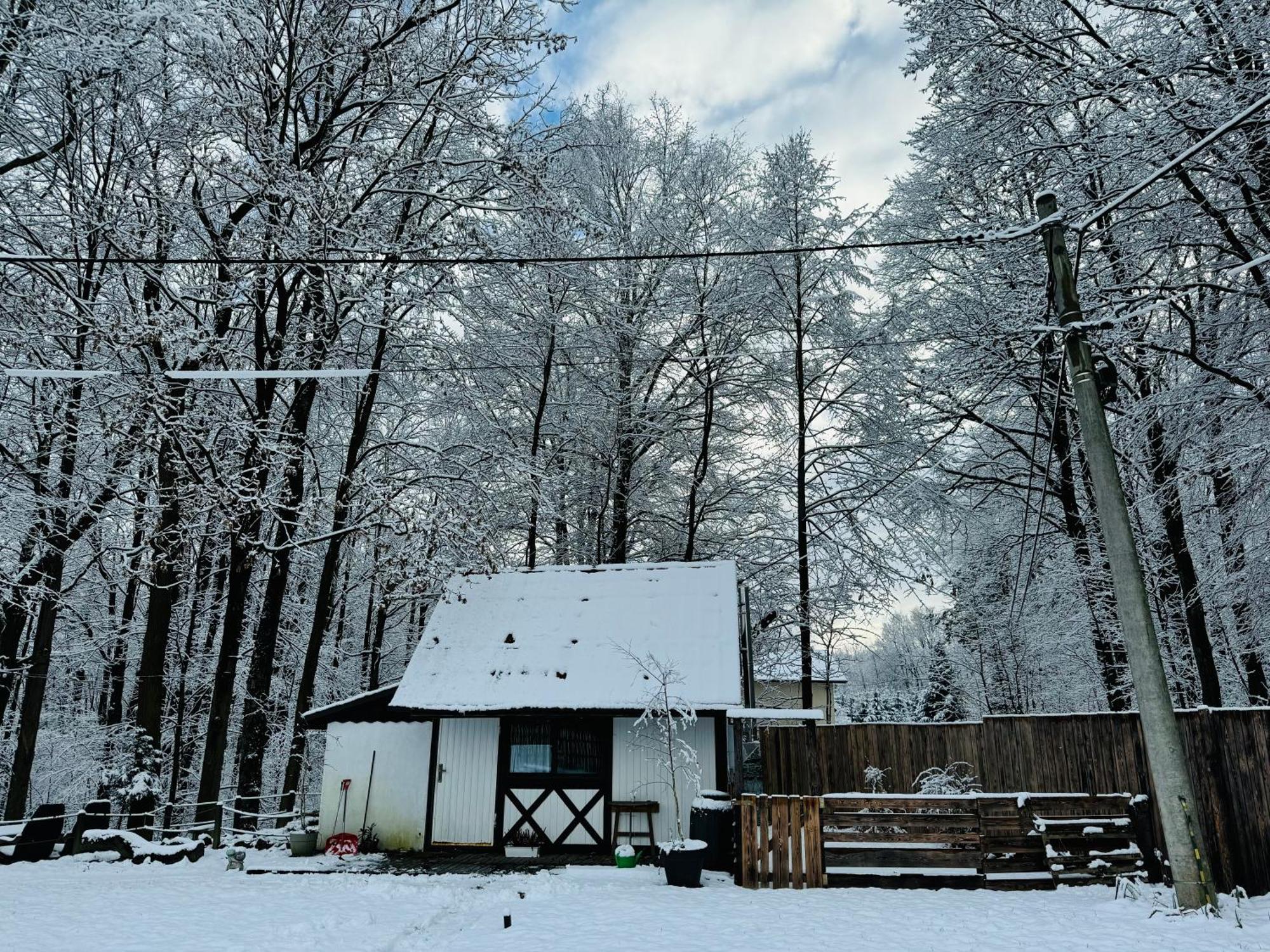 Vila Romantyczna Chatka Pisarzowice  Exteriér fotografie